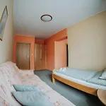 U Zvonu 3*